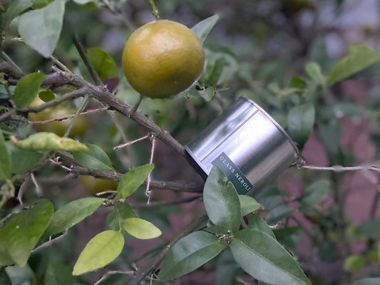 Glass Neroli 02 candle by HOT WAX in steel tin resting on citrus branch with fruit