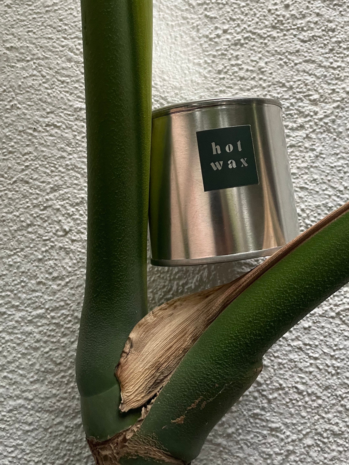 Glass Neroli 02 candle by HOT WAX in steel tin with front label against white textured wall