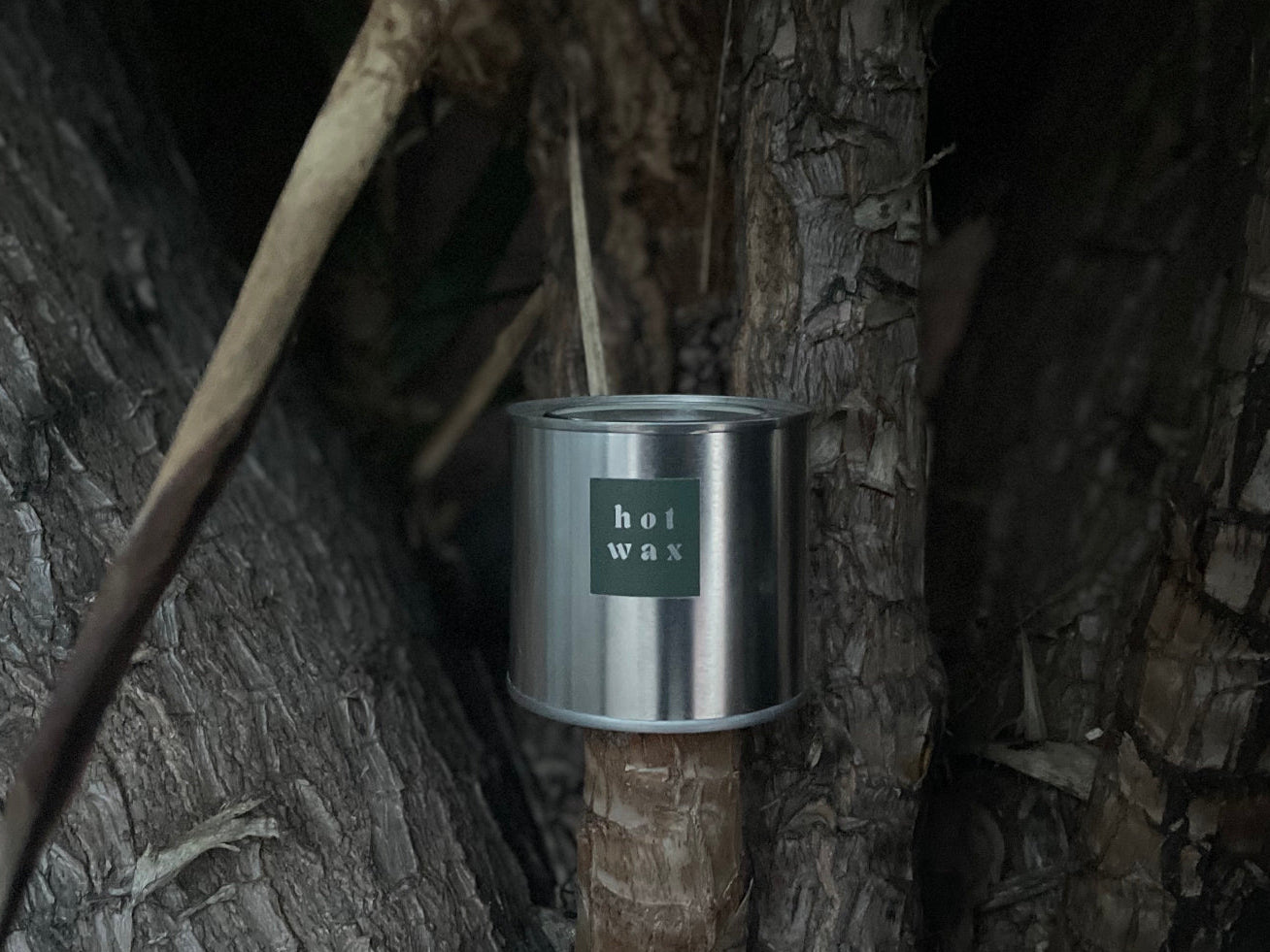 Hinoki Mist 03 candle by HOT WAX in steel tin set against forest tree bark