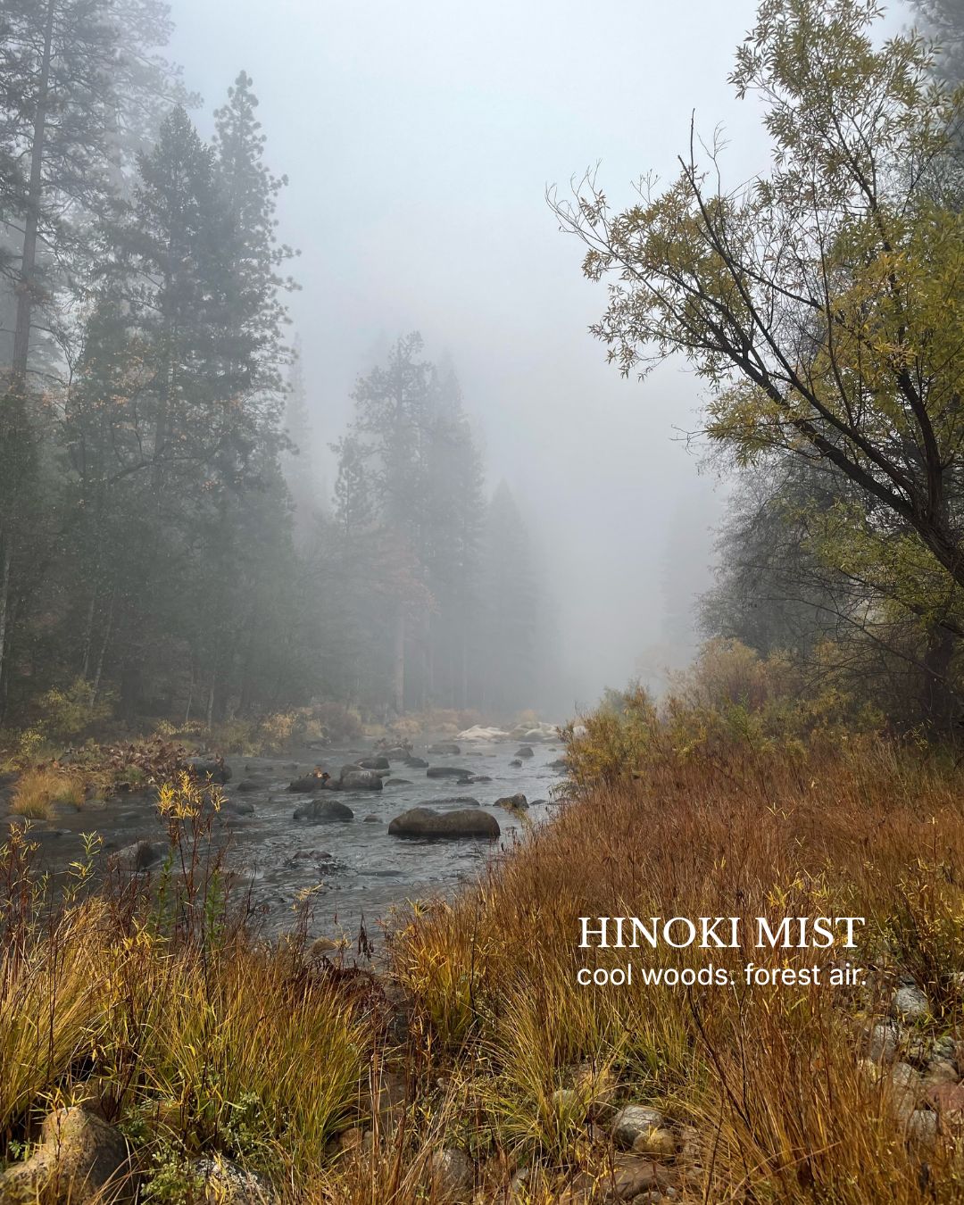Hinoki Mist 03 by HOT WAX, cool forest stream in morning fog with text overlay